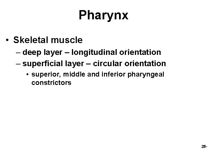 Pharynx • Skeletal muscle – deep layer – longitudinal orientation – superficial layer –