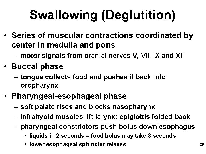 Swallowing (Deglutition) • Series of muscular contractions coordinated by center in medulla and pons