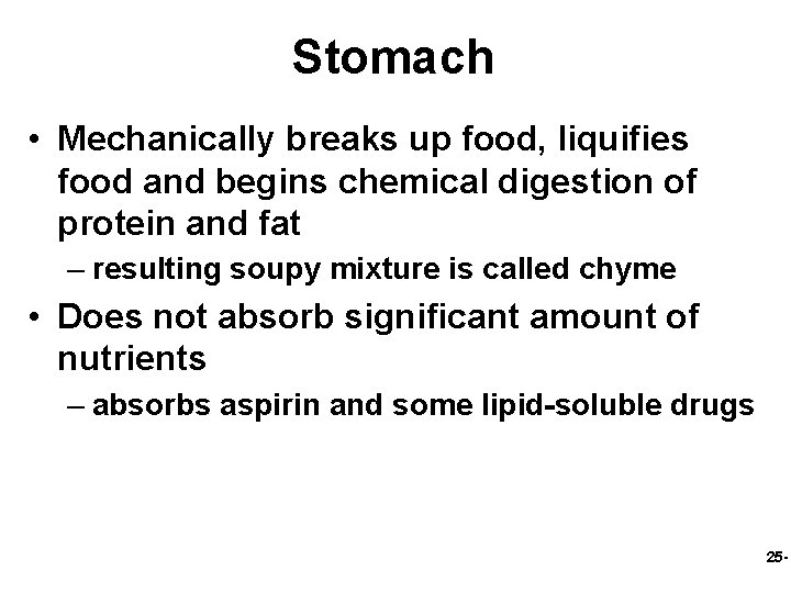 Stomach • Mechanically breaks up food, liquifies food and begins chemical digestion of protein