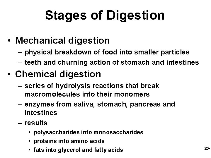 Stages of Digestion • Mechanical digestion – physical breakdown of food into smaller particles