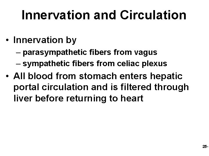 Innervation and Circulation • Innervation by – parasympathetic fibers from vagus – sympathetic fibers