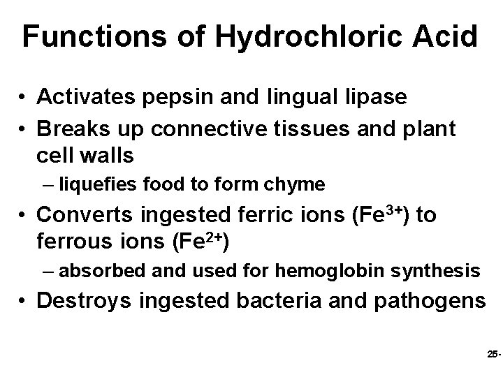 Functions of Hydrochloric Acid • Activates pepsin and lingual lipase • Breaks up connective