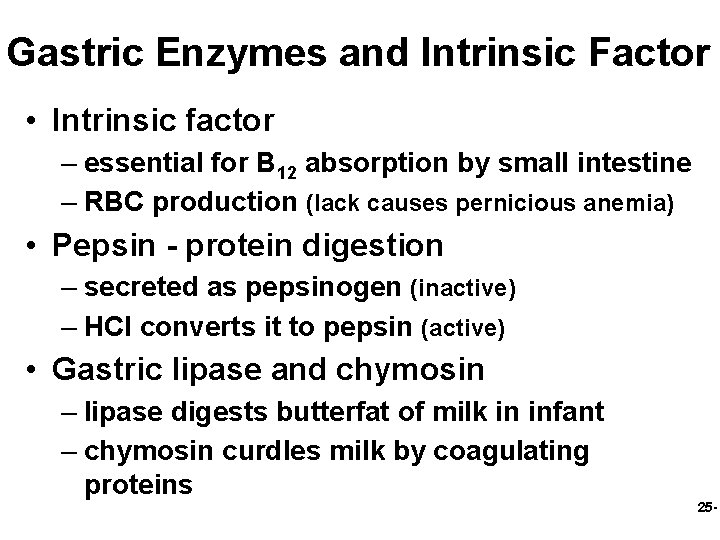 Gastric Enzymes and Intrinsic Factor • Intrinsic factor – essential for B 12 absorption