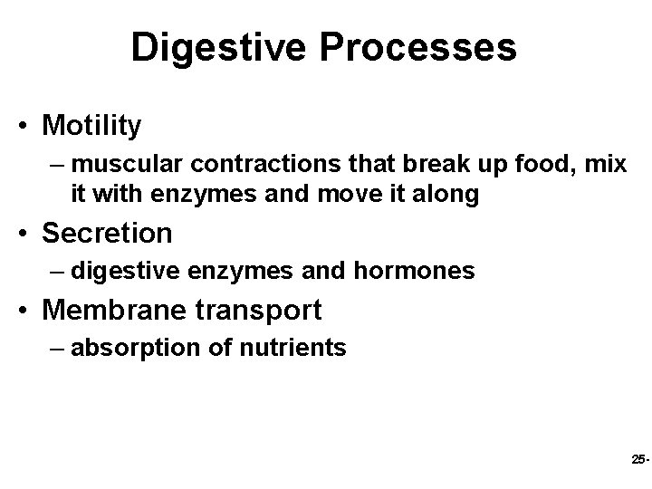 Digestive Processes • Motility – muscular contractions that break up food, mix it with