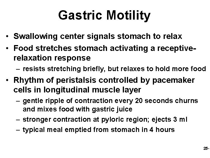 Gastric Motility • Swallowing center signals stomach to relax • Food stretches stomach activating