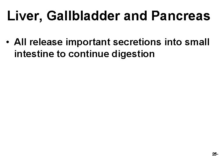 Liver, Gallbladder and Pancreas • All release important secretions into small intestine to continue