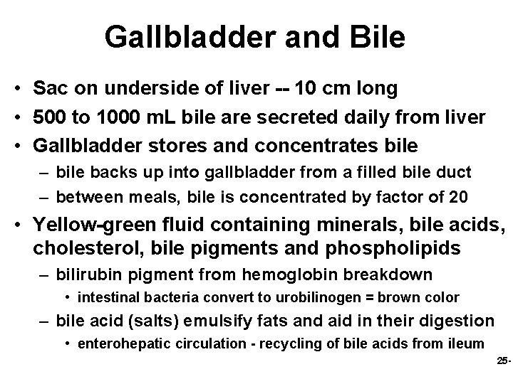 Gallbladder and Bile • Sac on underside of liver -- 10 cm long •