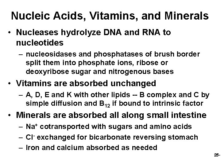 Nucleic Acids, Vitamins, and Minerals • Nucleases hydrolyze DNA and RNA to nucleotides –