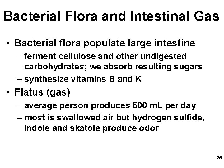 Bacterial Flora and Intestinal Gas • Bacterial flora populate large intestine – ferment cellulose