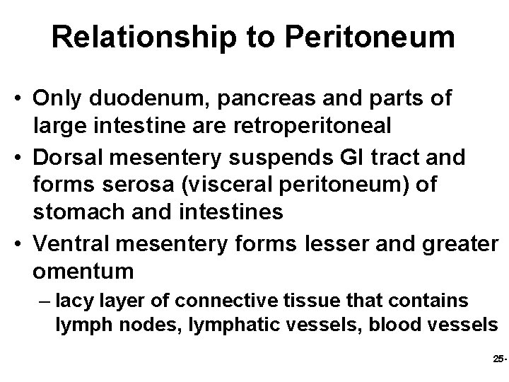 Relationship to Peritoneum • Only duodenum, pancreas and parts of large intestine are retroperitoneal