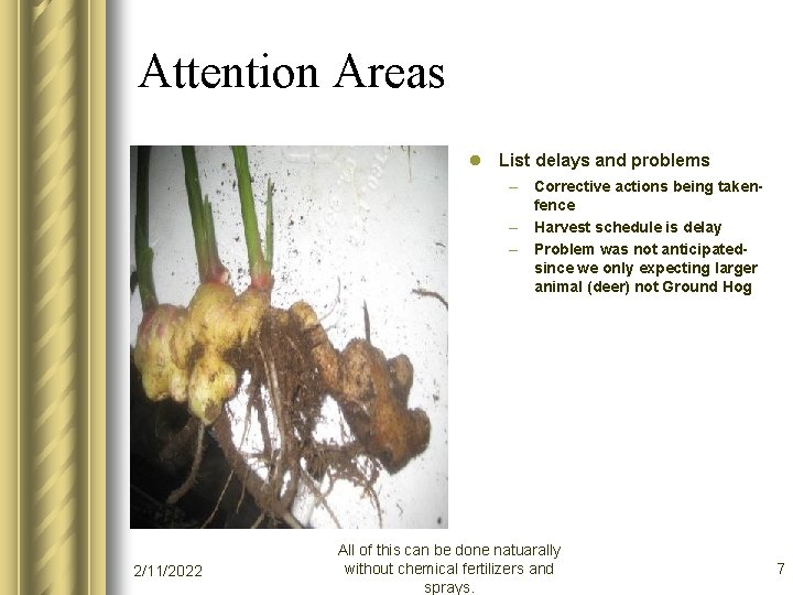 Attention Areas l List delays and problems – Corrective actions being takenfence – Harvest