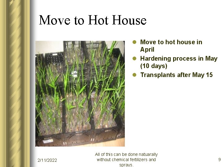 Move to Hot House l Move to hot house in April l Hardening process