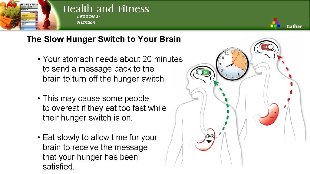 LESSON 3: Nutrition The Slow Hunger Switch to Your Brain • Your stomach needs