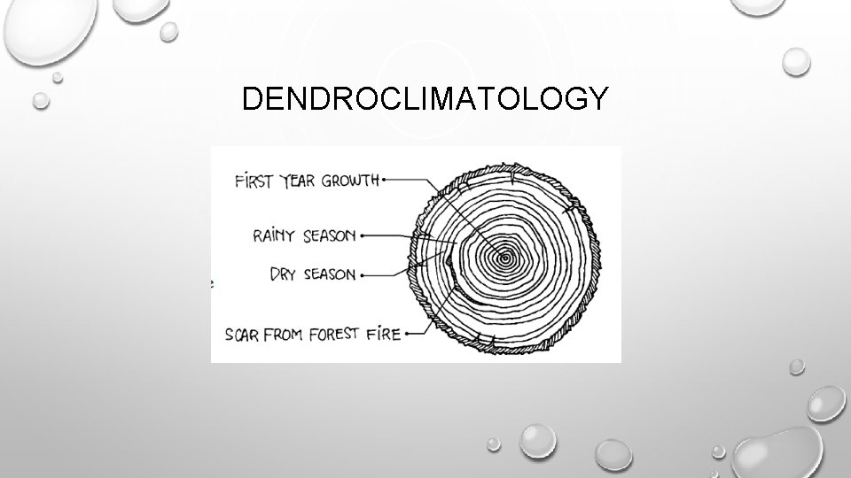 DENDROCLIMATOLOGY 