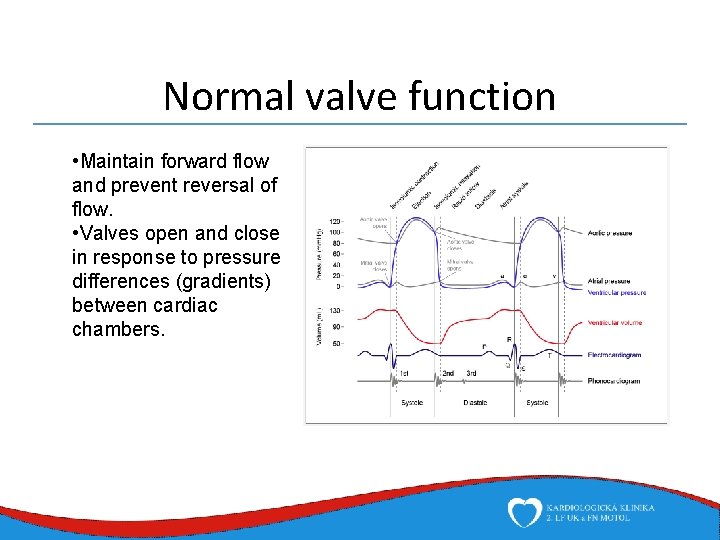 Normal valve function • Maintain forward flow and prevent reversal of flow. • Valves