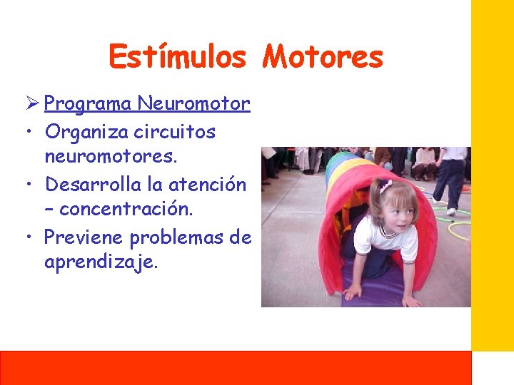 Estímulos Motores Ø Programa Neuromotor • Organiza circuitos neuromotores. • Desarrolla la atención –