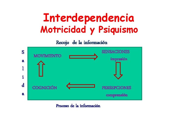 Interdependencia Motricidad y Psiquismo Recojo de la información S a l i d a