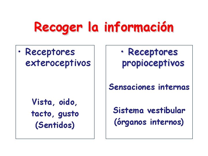 Recoger la información • Receptores exteroceptivos • Receptores propioceptivos Sensaciones internas Vista, oido, tacto,