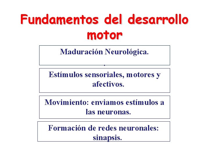 Fundamentos del desarrollo motor Maduración Neurológica. . Estímulos sensoriales, motores y afectivos. Movimiento: enviamos