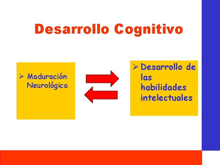 Desarrollo Cognitivo Ø Maduración Neurológica Ø Desarrollo de las habilidades intelectuales 