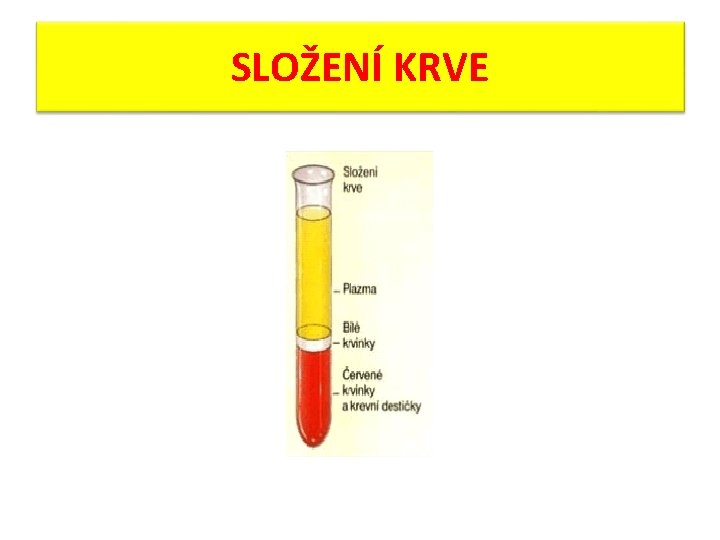 SLOŽENÍ KRVE 