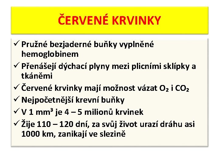 ČERVENÉ KRVINKY ü Pružné bezjaderné buňky vyplněné hemoglobinem ü Přenášejí dýchací plyny mezi plicními