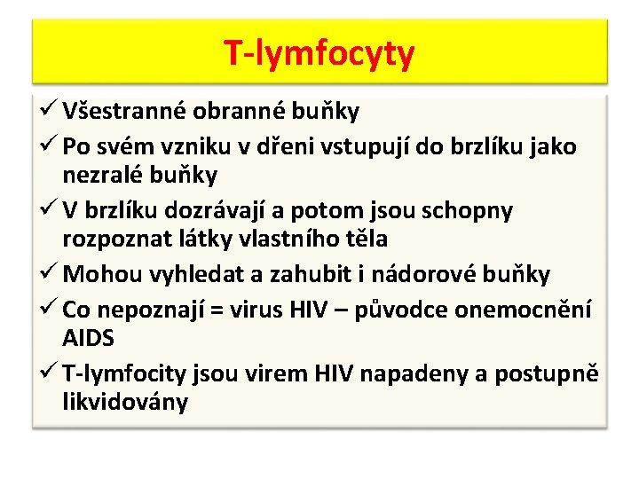 T-lymfocyty ü Všestranné obranné buňky ü Po svém vzniku v dřeni vstupují do brzlíku