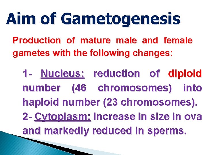 Aim of Gametogenesis Production of mature male and female gametes with the following changes: