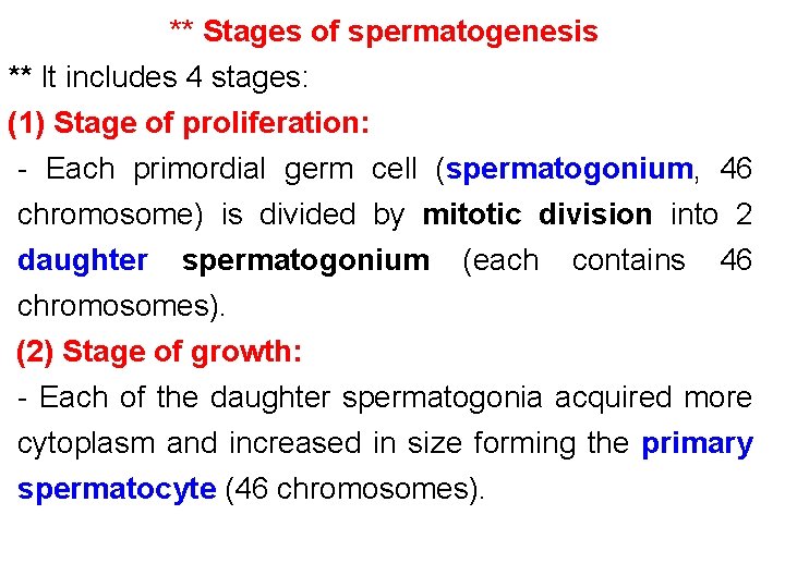 ** Stages of spermatogenesis ** It includes 4 stages: (1) Stage of proliferation: -