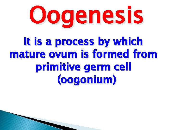 Oogenesis It is a process by which mature ovum is formed from primitive germ