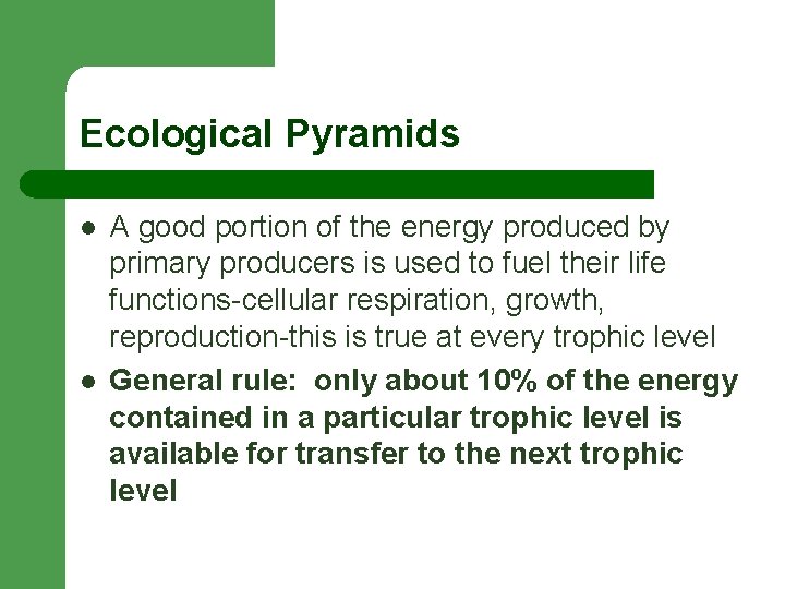 Ecological Pyramids l l A good portion of the energy produced by primary producers