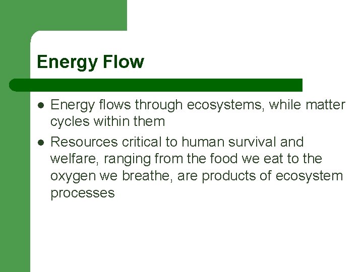 Energy Flow l l Energy flows through ecosystems, while matter cycles within them Resources