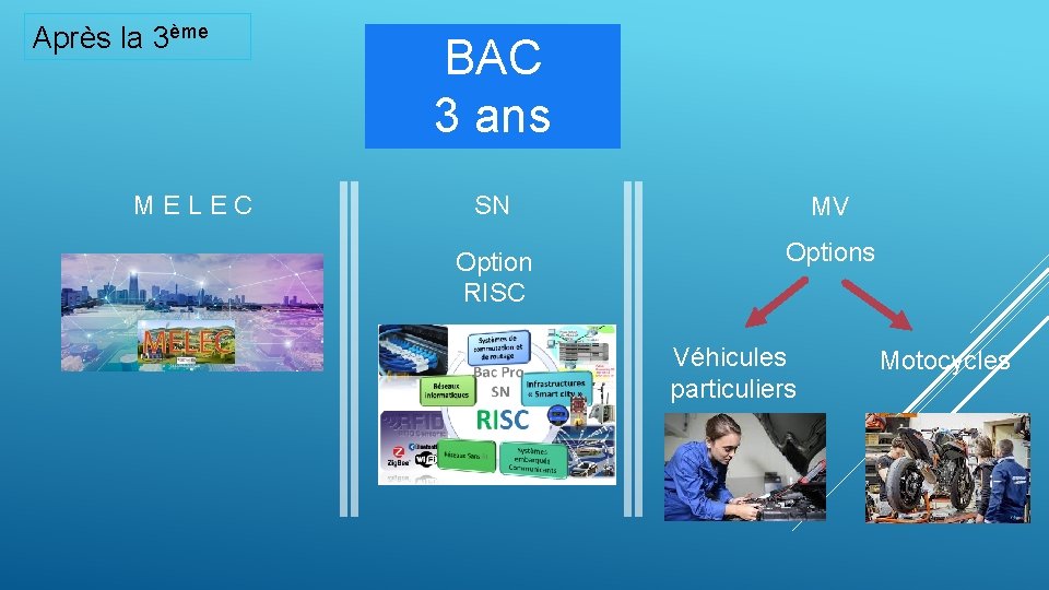 Après la 3ème MELEC BAC 3 ans SN MV Option RISC Options Véhicules particuliers