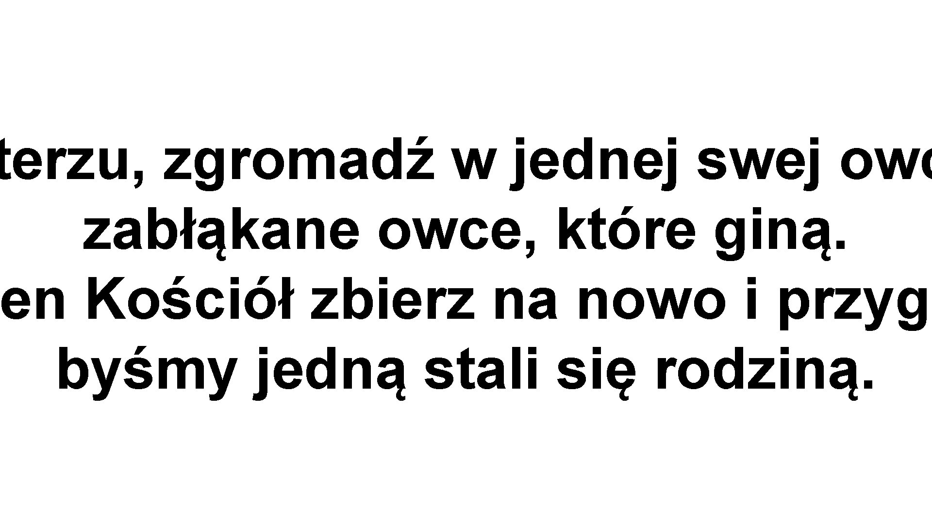 terzu, zgromadź w jednej swej owc zabłąkane owce, które giną. en Kościół zbierz na