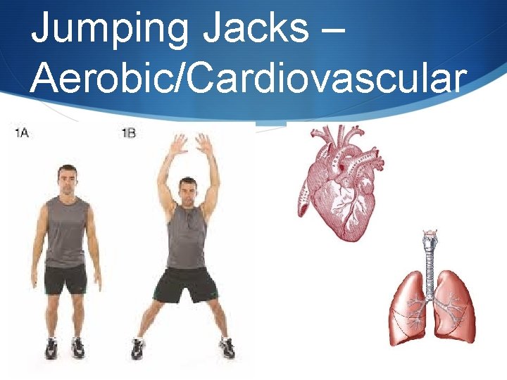 Jumping Jacks – Aerobic/Cardiovascular 