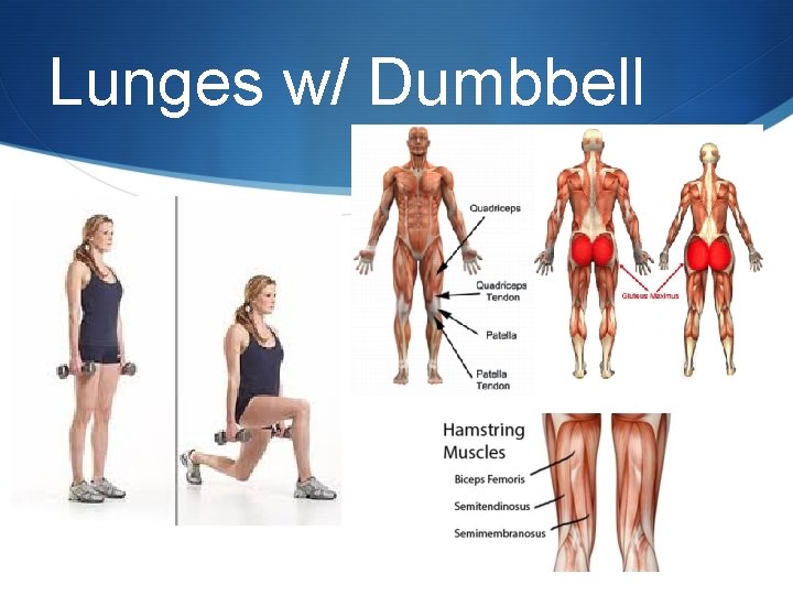 Lunges w/ Dumbbell 