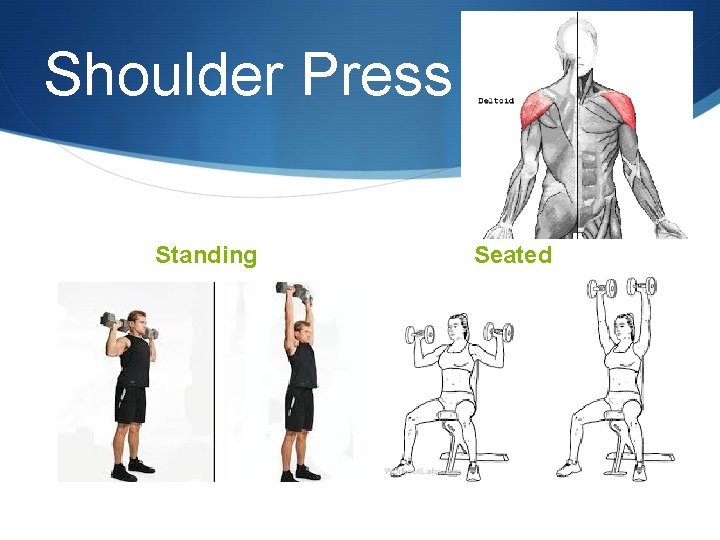 Shoulder Press Standing Seated 