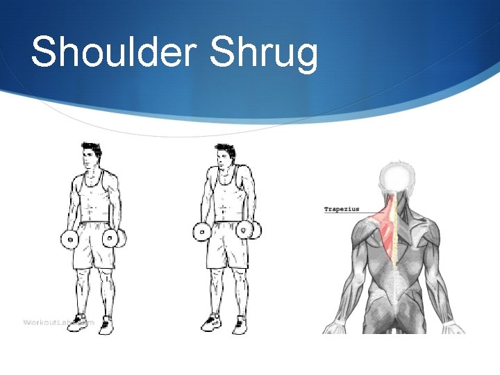 Shoulder Shrug 