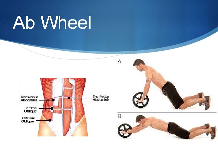 Ab Wheel 