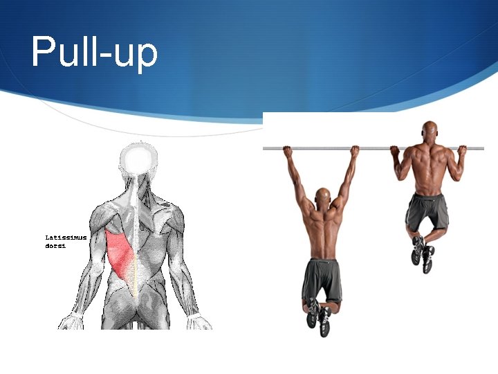 Pull-up 