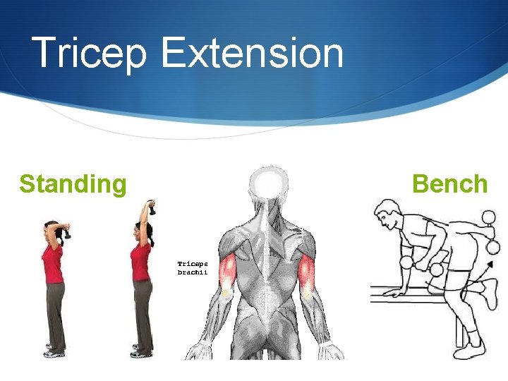 Tricep Extension Standing Bench 