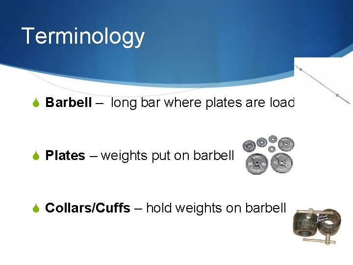 Terminology S Barbell – long bar where plates are loaded S Plates – weights