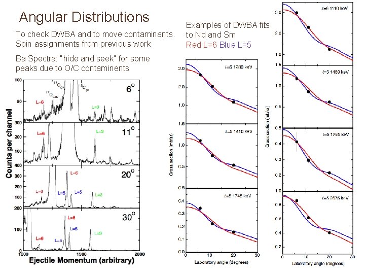 Angular Distributions To check DWBA and to move contaminants. Spin assignments from previous work