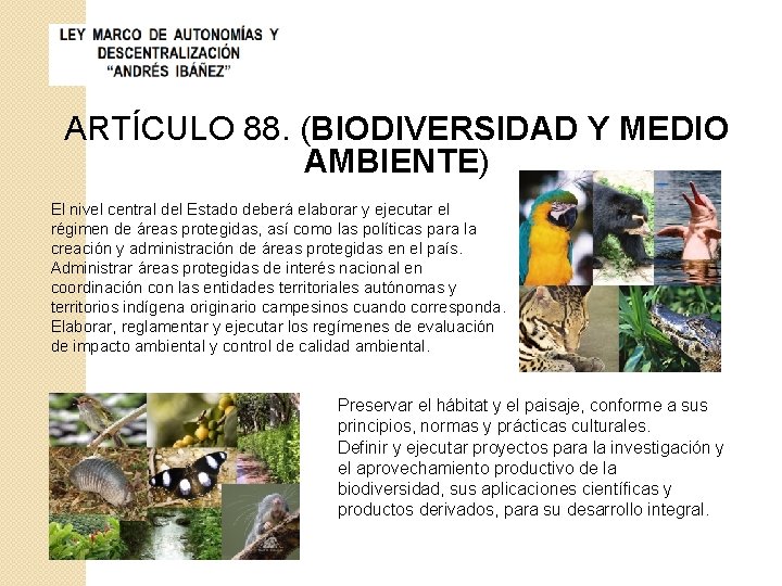 ARTÍCULO 88. (BIODIVERSIDAD Y MEDIO AMBIENTE) El nivel central del Estado deberá elaborar y