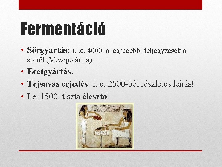 Fermentáció • Sörgyártás: i. . e. 4000: a legrégebbi feljegyzések a sörről (Mezopotámia) •