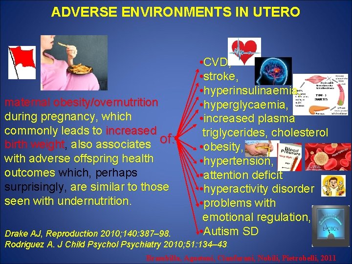 ADVERSE ENVIRONMENTS IN UTERO maternal obesity/overnutrition during pregnancy, which commonly leads to increased birth