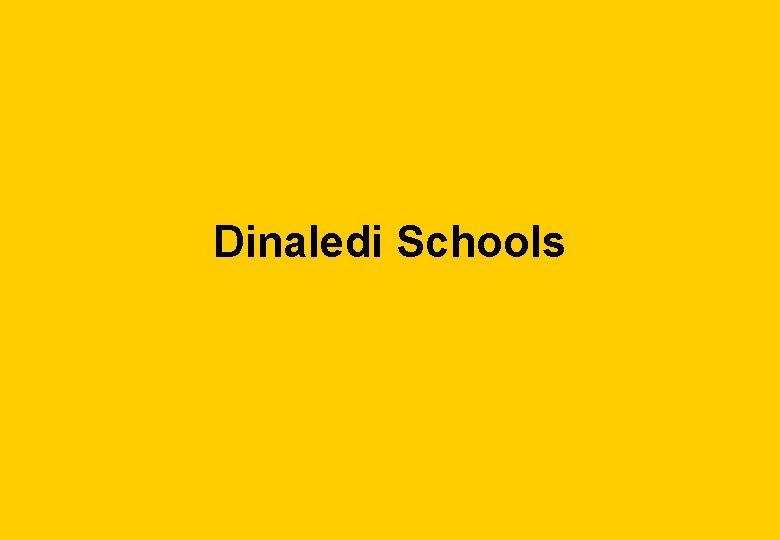 Dinaledi Schools 