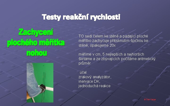 TO sedí čelem ke stěně a padající ploché měřítko zachycuje přitisknutím špičkou ke stěně,