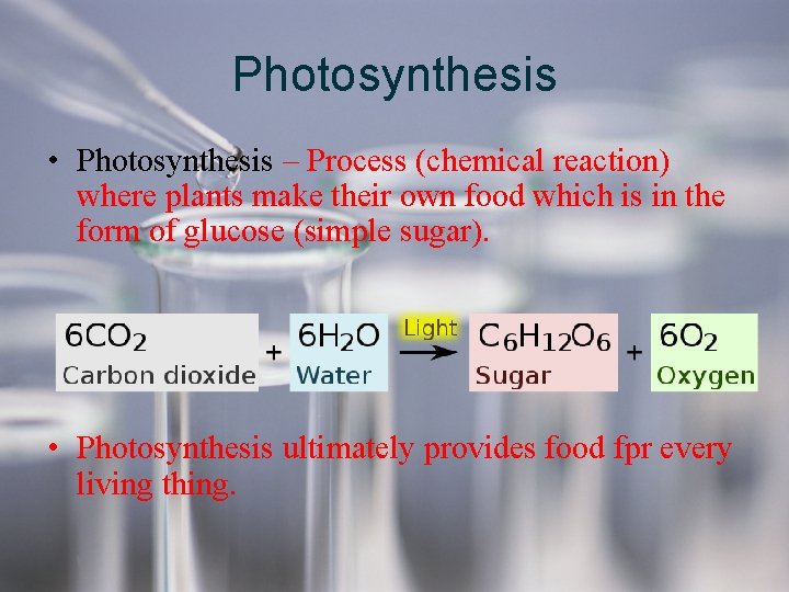 Photosynthesis • Photosynthesis – Process (chemical reaction) where plants make their own food which