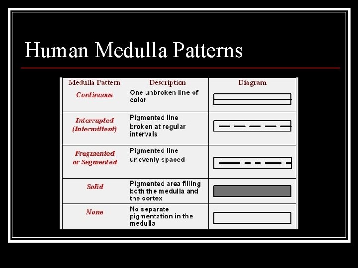 Human Medulla Patterns 